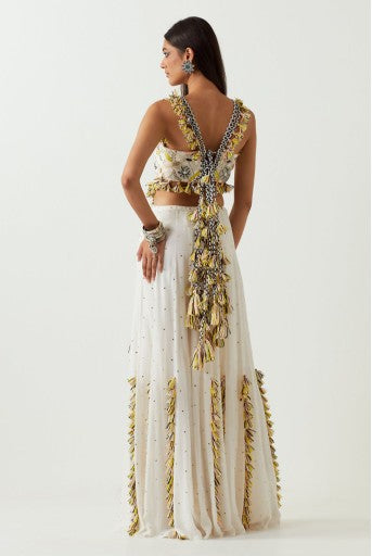 Off-White Embroidered Choli and Sharara
